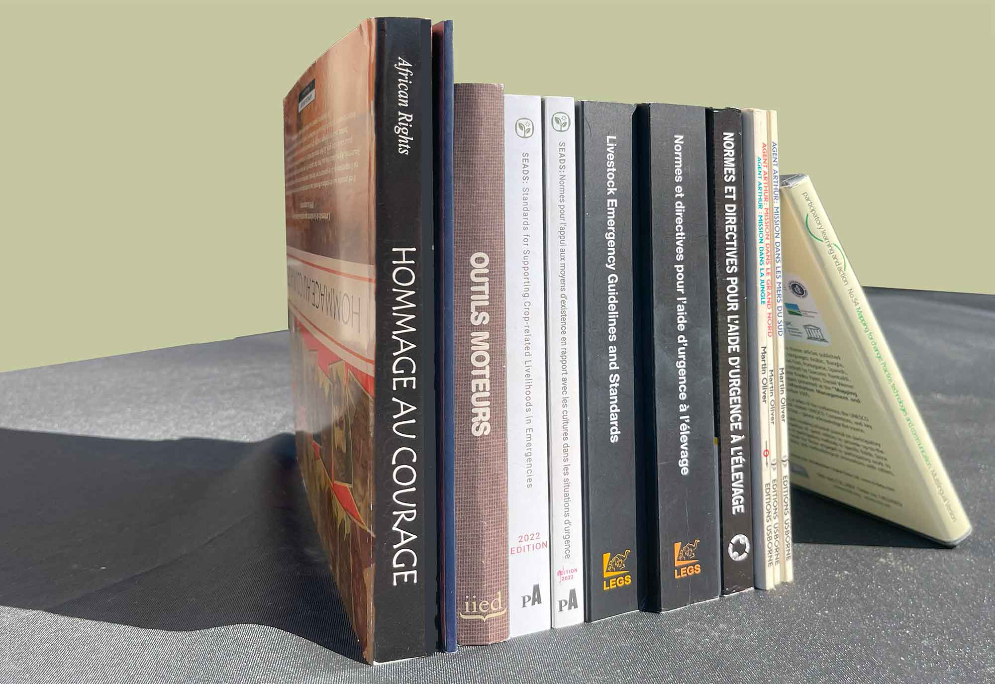 Selection-of-publications-translated-by-Maryck-Holloway-06
